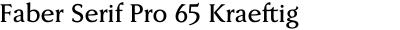 Faber Serif Pro 65 Kraeftig